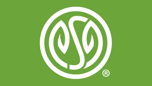 ESG White Logo On Green No Tagline